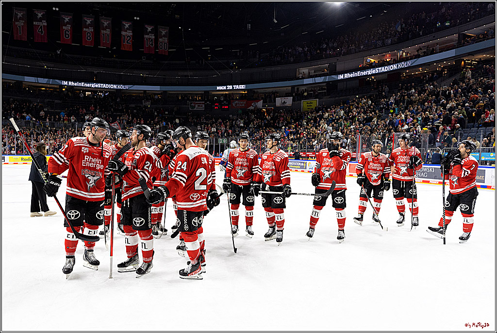 PENNY DEL;  Kölner Haie - Adler Mannheim; Köln, 04.11.2022